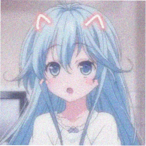 金晨 孤注一掷演员表